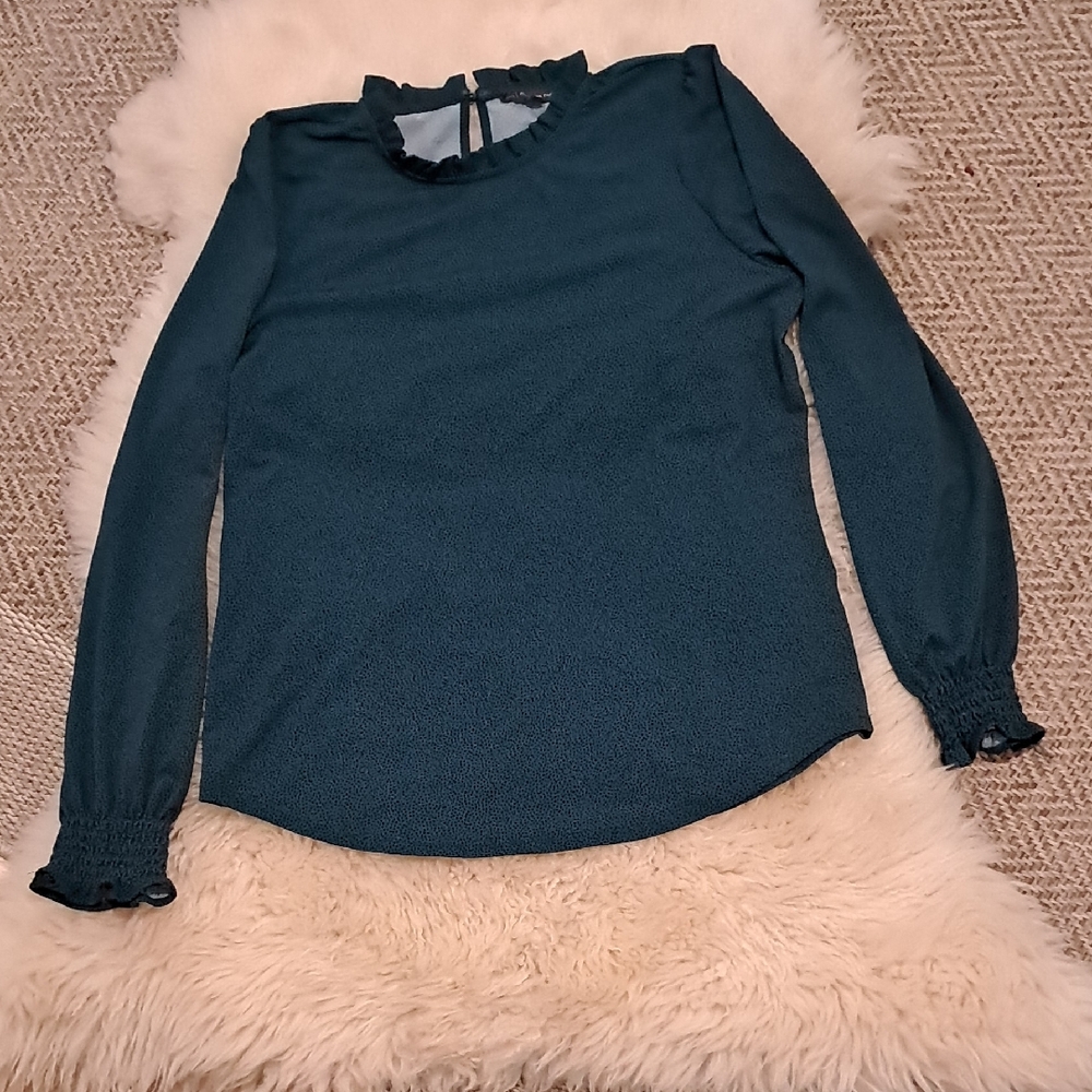 Adrianna Papell Blue and White Ruffled Long Sleeve Blouse